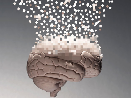 Controversia acerca de la viabilidad del Human Brain Project