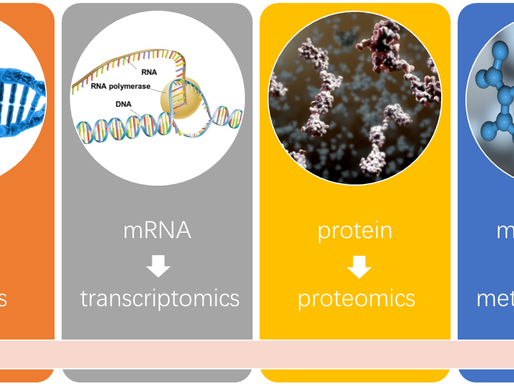 Charla online: La bioinformática al servicio de la metabolómica