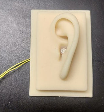Crean una cóclea artificial ("oído biónico") que funciona sin baterías